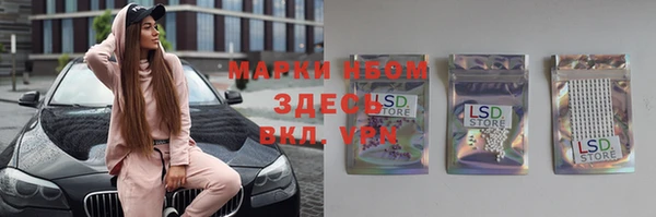 гашик Алексеевка