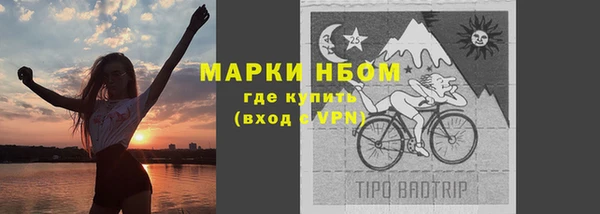 гашик Алексеевка