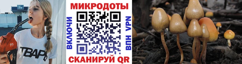 Псилоцибиновые грибы прущие грибы  где купить наркотик  Ковылкино 